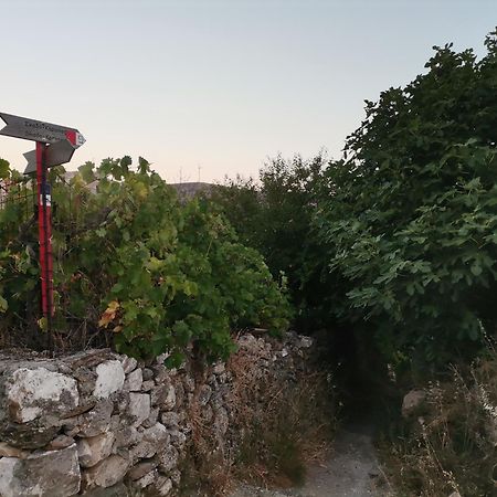 Apartmán Naxos Mountain Retreat - Tiny House Build On Rock Koronos Exteriér fotografie