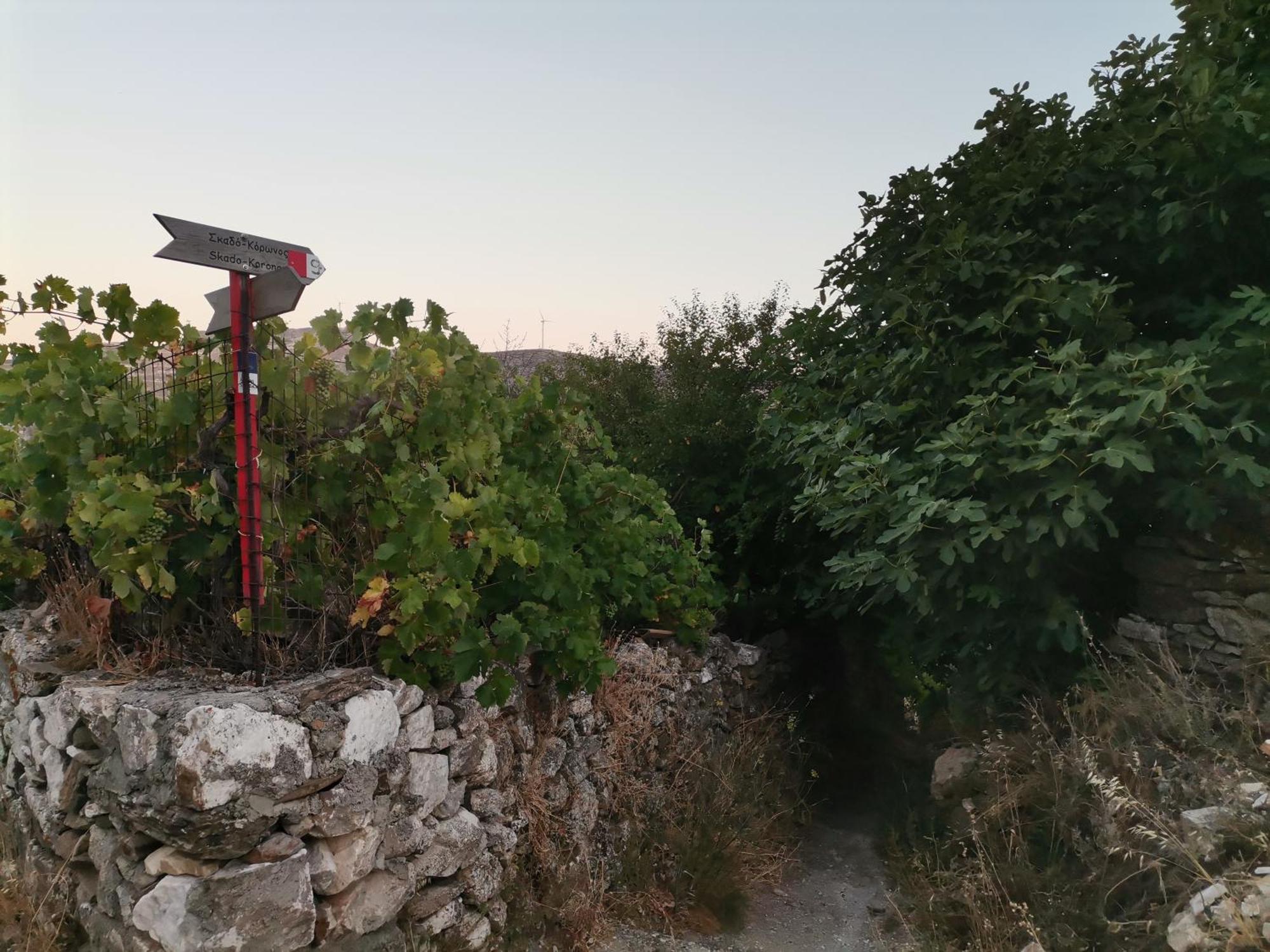 Apartmán Naxos Mountain Retreat - Tiny House Build On Rock Koronos Exteriér fotografie